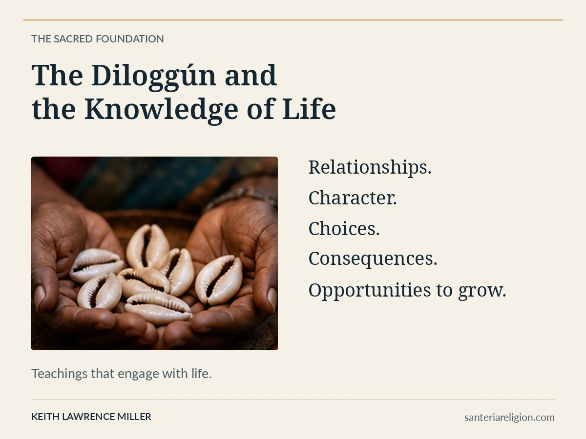 Hands holding cowrie shells beside the themes relationships, character, choices, consequences, and opportunities to grow.